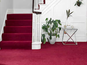 Abingdon-Wilton-Royal-Royal-Charter-Deluxe-Carpet-Cardinal-Red-ROOMSHOT-small-Bridgewalk-Design-Birmingham